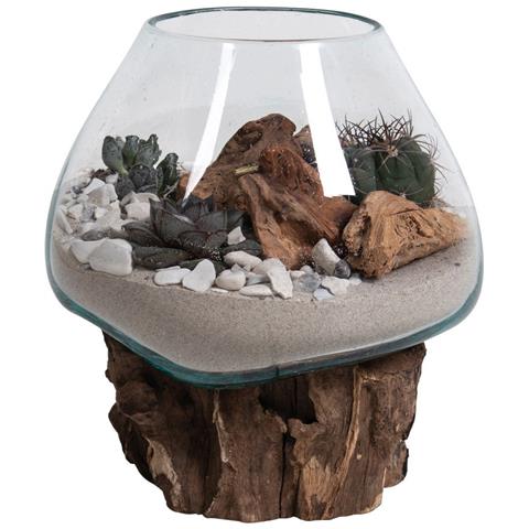 Terrario San Marino In Vetro A Cupola Su Base In Radice Di Teak 18x20 Cm - Foto 1