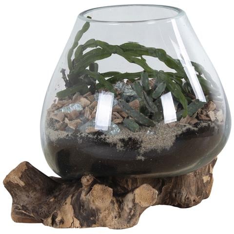 Terrario San Marino In Vetro A Cupola Su Base In Radice Di Teak 18x20 Cm - Foto 2