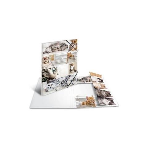 19219 Cartoncino Multicolore cartella - Foto 3