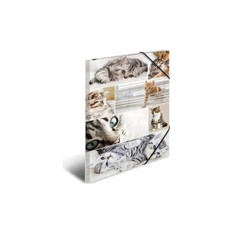 19219 Cartoncino Multicolore cartella - Foto 1