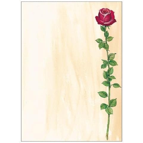 Dp695 Carta Da Disegno 25 Fogli - Foto 1