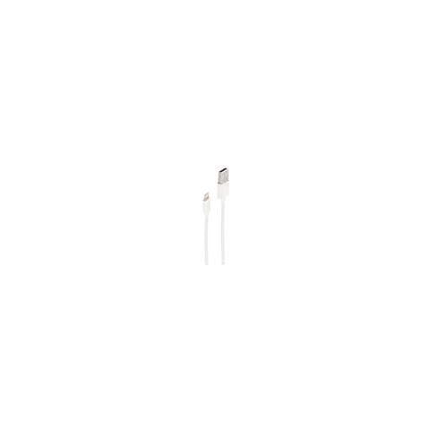 Bs14-12045 Cavo Seriale Bianco 0,2 M Usb Tipo A Mini-din (8-pin) - Foto 1
