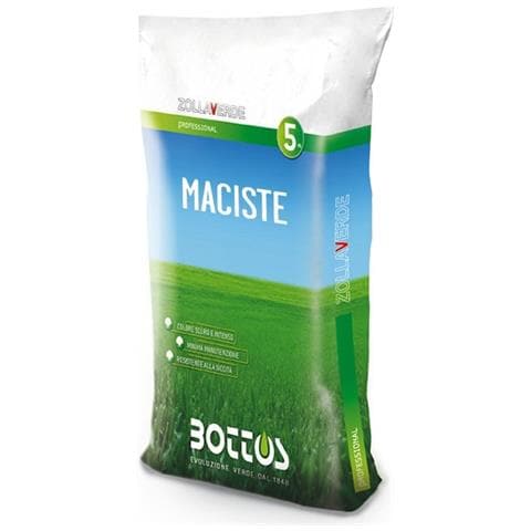 Sementi Maciste - 5 Kg - Foto 1