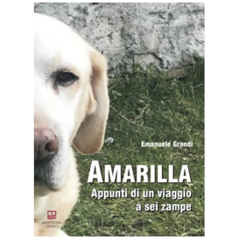Emanuele Grandi - Amarilla. Appunti Di Un Viaggio A Sei Zampe - Foto 1