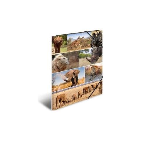 19222 Cartoncino Multicolore cartella - Foto 1