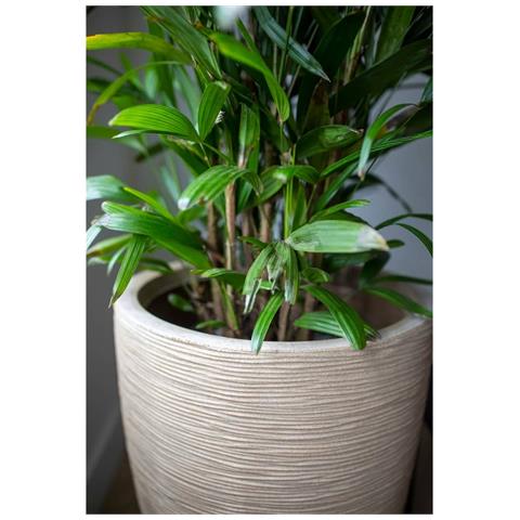 Vaso Elegante Basso Waste Rib 46x58 Cm Beige Terrazzo - Foto 10