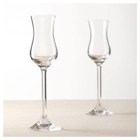 Daily Grappa - Foto 1