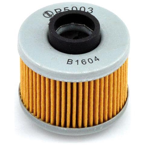Filtro Olio P5003 - Foto 1