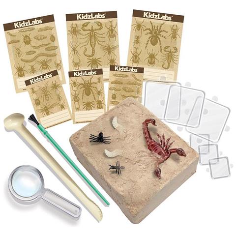 Science Discovery Kit - Kit Dell'insetto Strisciante - Foto 3