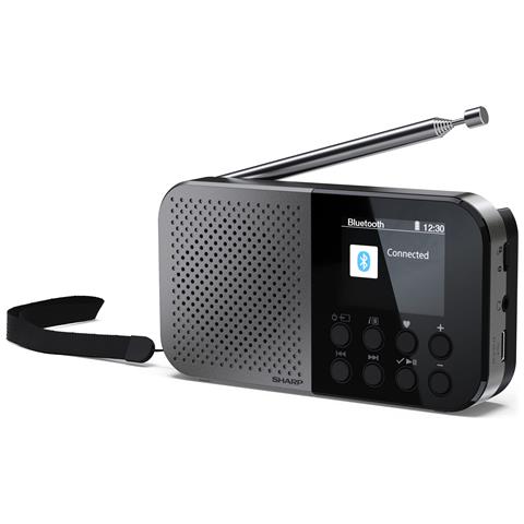 DR-P520 Personale Digitale Grigio - Foto 1