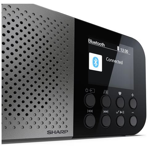 DR-P520 Personale Digitale Grigio - Foto 2