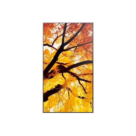 MultiSync PN-M752 189,2 cm (74.5") LED 550 cd /m² 4K Ultra HD Nero 24/7 - Foto 11