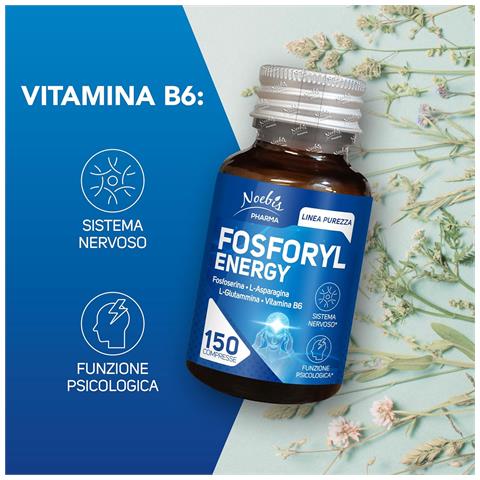 Fosforyl Energy 150 Compresse - Fosfoserina, L-Asparagina, L-Glutammina e Vitamina B6 - Concentrazione, Lucidità Mentale ed Energia (Confezione quadrupla) - Foto 5