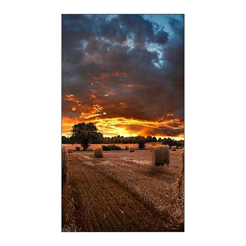 LH46VMBUBGBXEN espositore video da parete LCD Interno - Foto 12