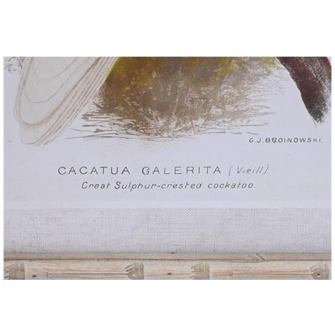 Tela 50 X 2,8 X 65 Cm 50 X 65 X 2.8 Cm Pappagallo Cottage (4 Pezzi) - Foto 3