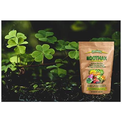 Mycorrhizal Fungi Polvere - 200gm. Rootmax. Dimensioni Massimizzare Root. Impianto Rooting Polvere. - Foto 2
