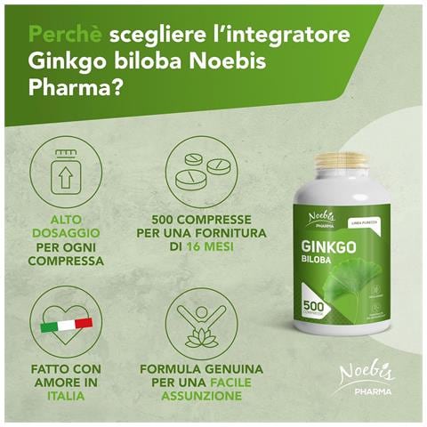 Ginkgo Biloba 500 Compresse - Estratto Secco di Foglie - Microcircolo e Circolazione - Foto 5