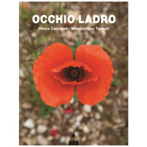 Chiara Carminati - Occhio Ladro - Foto 2