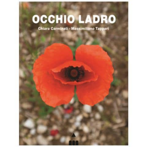Chiara Carminati - Occhio Ladro - Foto 1