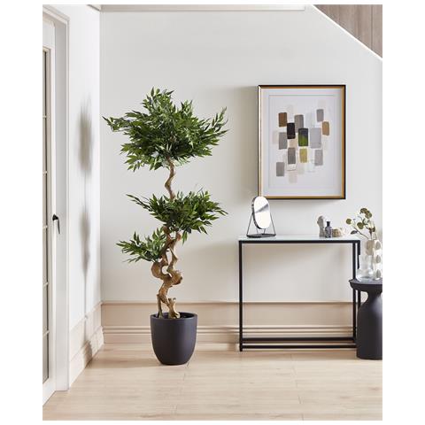 Pianta Artificiale In Vaso 166 Cm Ruscus Tree - Foto 1