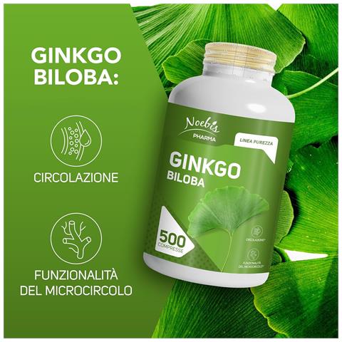 Ginkgo Biloba 500 Compresse - Estratto Secco di Foglie - Microcircolo e Circolazione (Confezione doppia) - Foto 2
