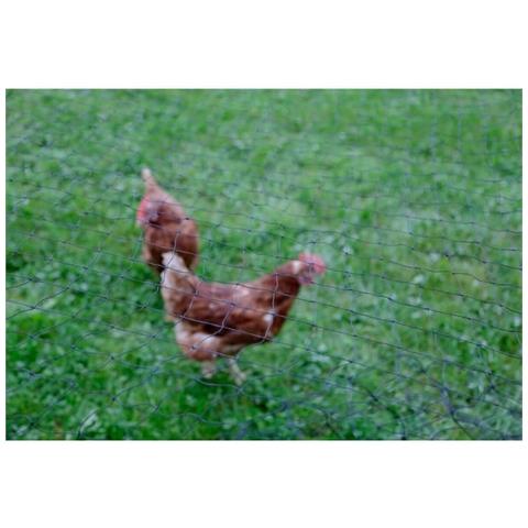 Recinto Kerbl 5 X 10 M Nero - Foto 2