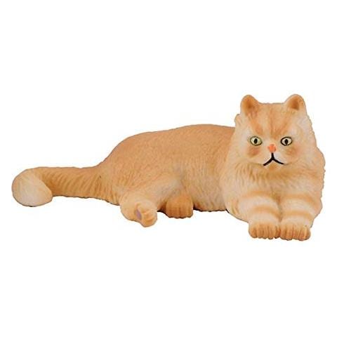 Gatto Persiano (sdraiato) - Foto 1