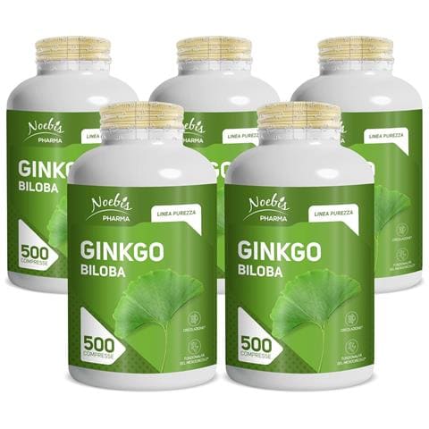 Ginkgo Biloba 500 Compresse - Estratto Secco di Foglie - Microcircolo e Circolazione (Confezione quintupla) - Foto 1