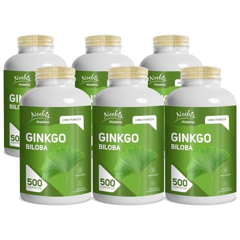 Ginkgo Biloba 500 Compresse - Estratto Secco di Foglie - Microcircolo e Circolazione (Confezione sestupla) - Foto 1