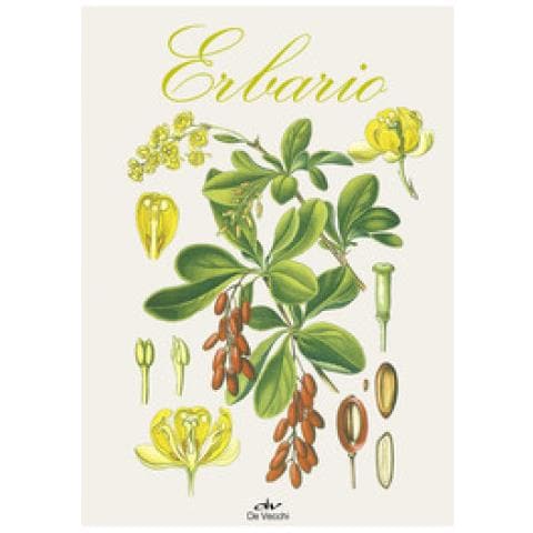 Lucia Celli - Erbario. Ediz. A Colori - Foto 2