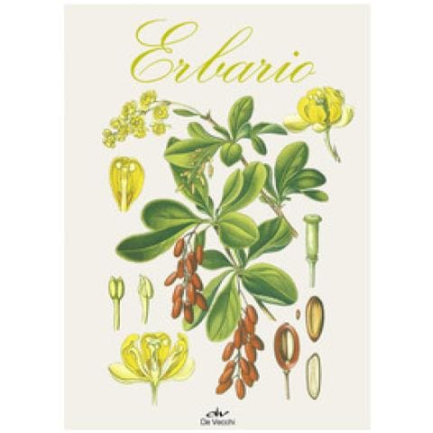 Lucia Celli - Erbario. Ediz. A Colori - Foto 1