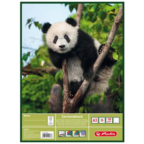 10416634 quaderno per scrivere A3 25 fogli Multicolore - Foto 5