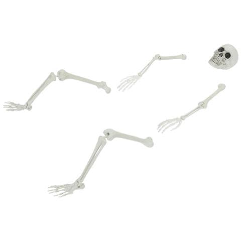 Scheletro di Halloween Bianco 20 x 10 x 9.5 cm Plastica - Foto 1
