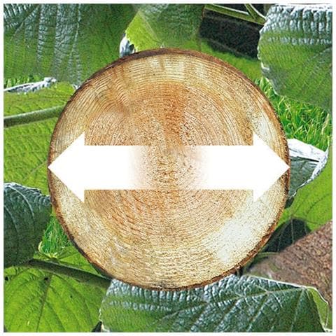 GKC1820L20 - Motosega Elettrica a Batteria 18V - Lama 20cm - Foto 3