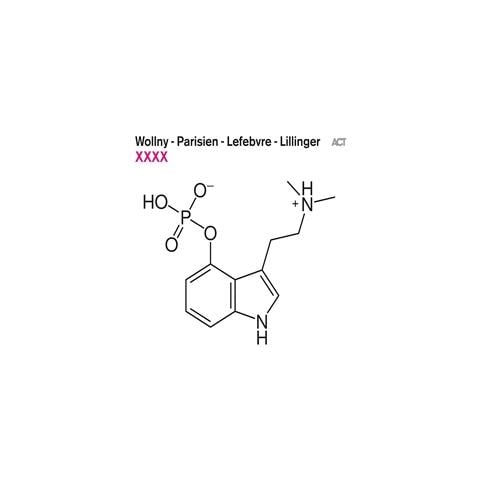 Wollny / Parisien / Lefebvre / Lillinger - Xxxx [ Lp] - Disponibile dal 30/04/2021 - Foto 1