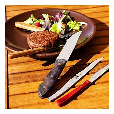 Coltello Da Bistecca Amefa Pizza Bois - Foto 3