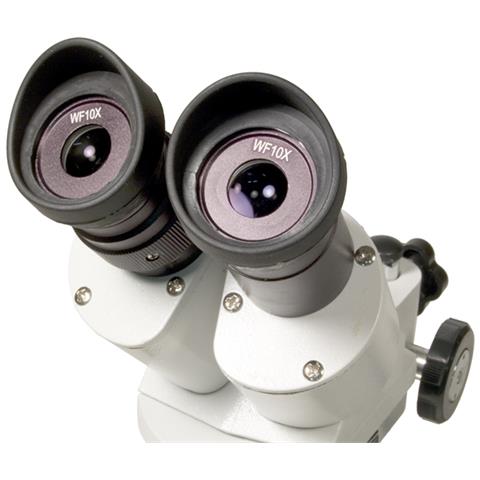 Microscopio Levenhuk 3st - Foto 3