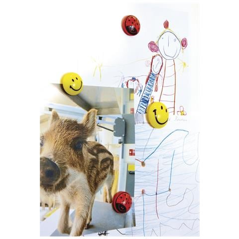 16671 accessorio board Magnete per lavagna bianca - Foto 2