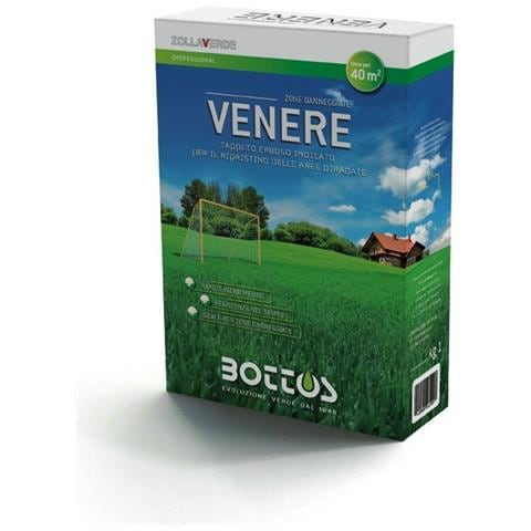 Sementi Venere - 1 Kg - Foto 1