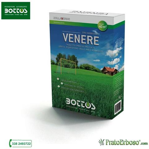 Sementi Venere - 1 Kg - Foto 6