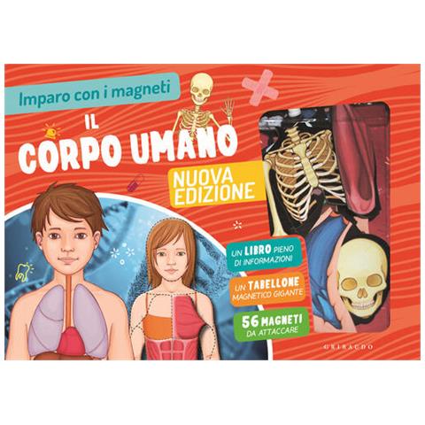 Il Corpo Umano. Imparo Con I Magneti. Con 56 Magneti. Con Tabellone - Foto 2