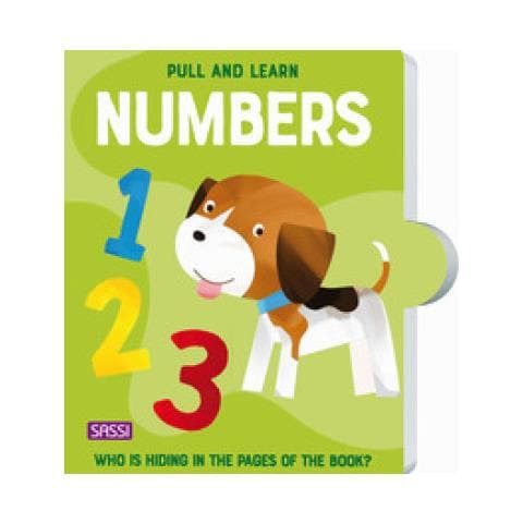Matteo Gaule - Pull And Learn. Numbers. Ediz. A Colori - Foto 1