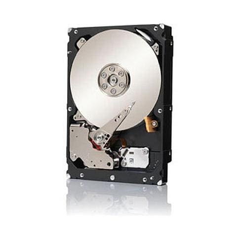 Hard Disk Interno Constellation ES. 3 3 TB Sata III 6 Gb / s 3.5" Buffer 128 MB 7200 Rpm - Foto 1