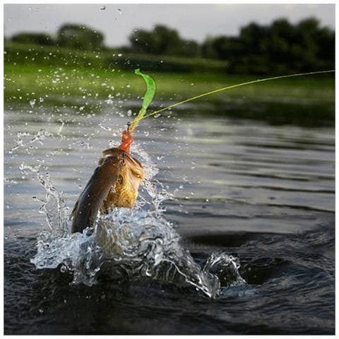 Maxpower X8 Pe Filo Da Pesca Intrecciato - 8 Trefoli, 100m Grigio, Misura 3 - Forza Superiore E Lancio Fluido - Foto 5