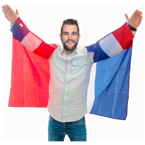 Bandiera Della Francia - Foto 1