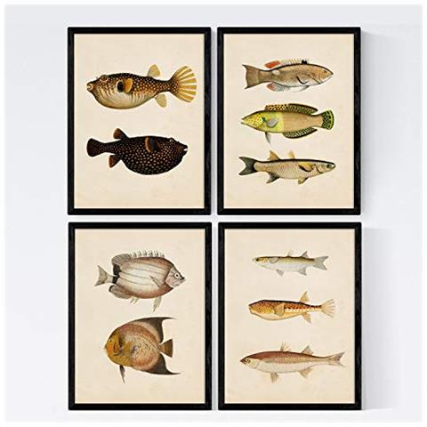 Set Di 4 Stampe Di Pesce Effetto Colorati Bengala Composizione Di 10 Pesci Diversi Sfondo Vecchia Carta Per Manifesti Di Carta 250 Senza Cornice A4 - Foto 1
