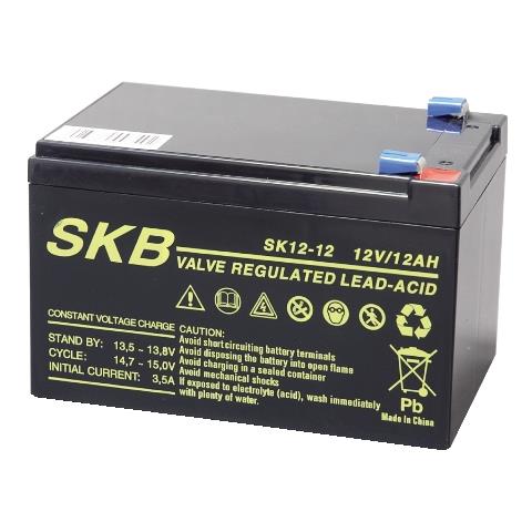 Batteria al piombo ricaricabile 12V-12Ah - Foto 1