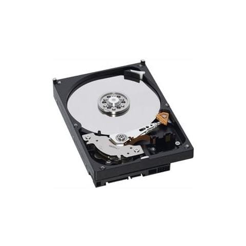 Enhanced Disk Drive Module - Hard disk - 600 GB - hot swap - 4Gb di  - Foto 1