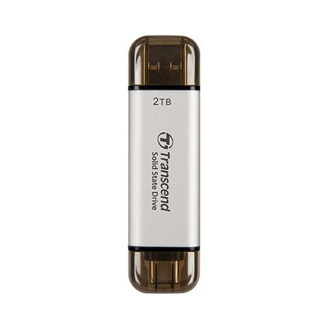 ESD310 2 TB Argento - Foto 1