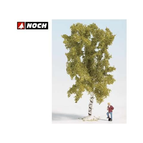 Betulla 10 cm HO-TT-N - Foto 1